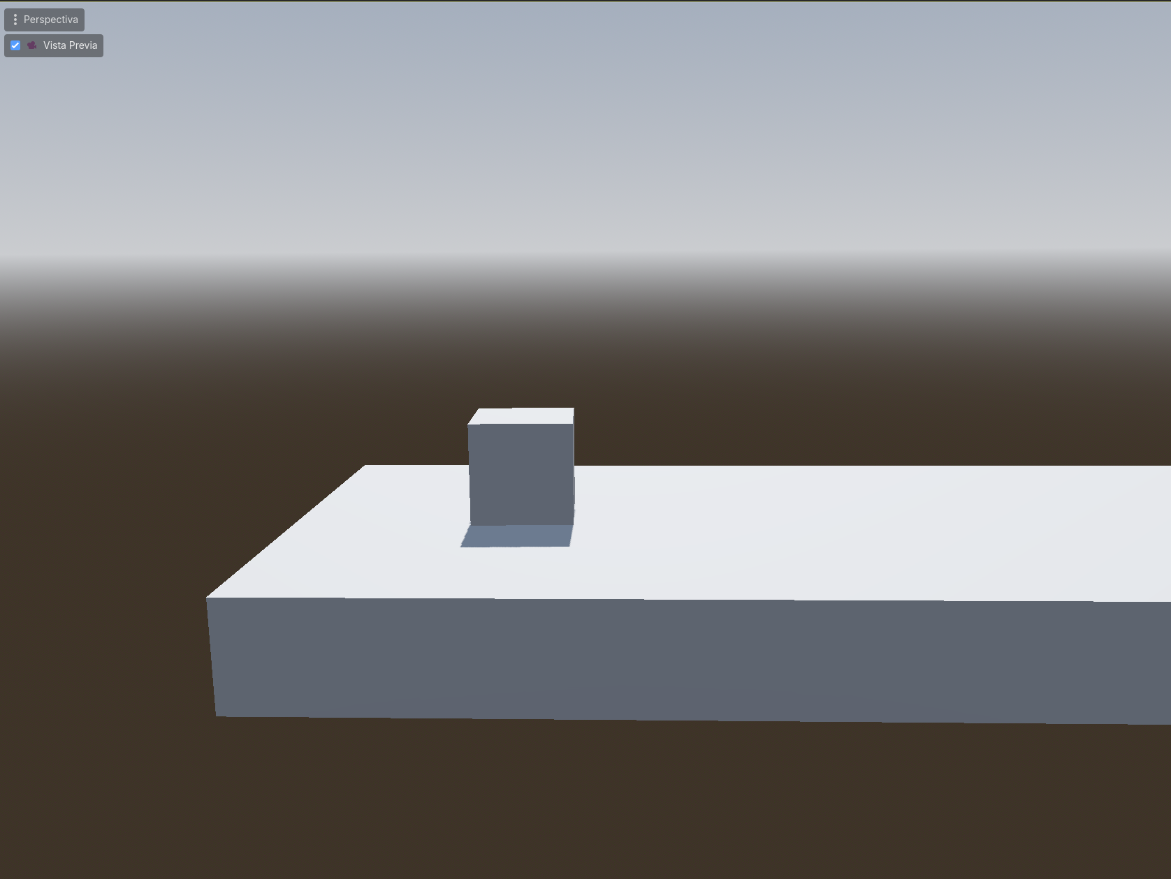 Vista previa de la cámara